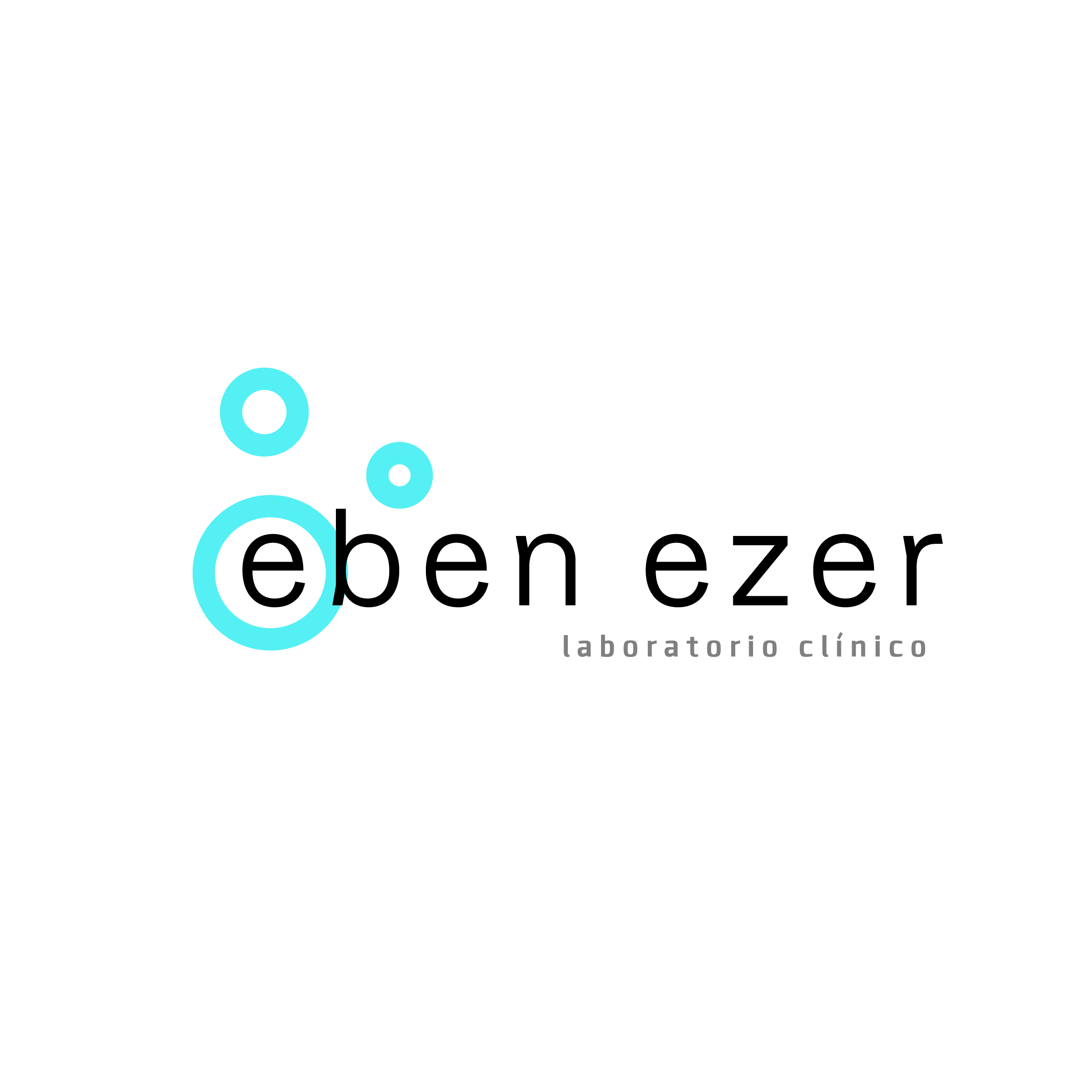 Logo Lab Eben Ezer